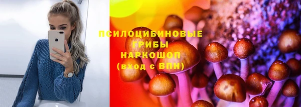 сатива Киреевск