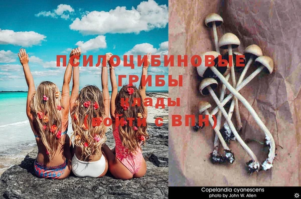 прущий лед Киренск