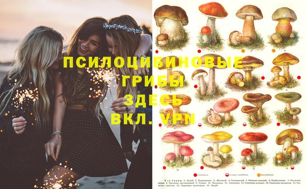 сатива Киреевск